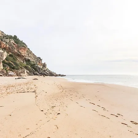 Vita Portucale ! Beach View سيسيمبرا