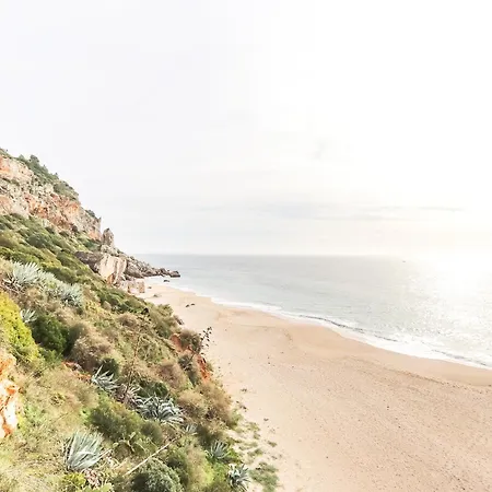Vita Portucale ! Beach View